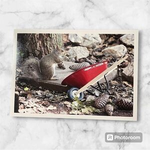 5 x 7 Original Photo Print of “Frisky the Squirrel”